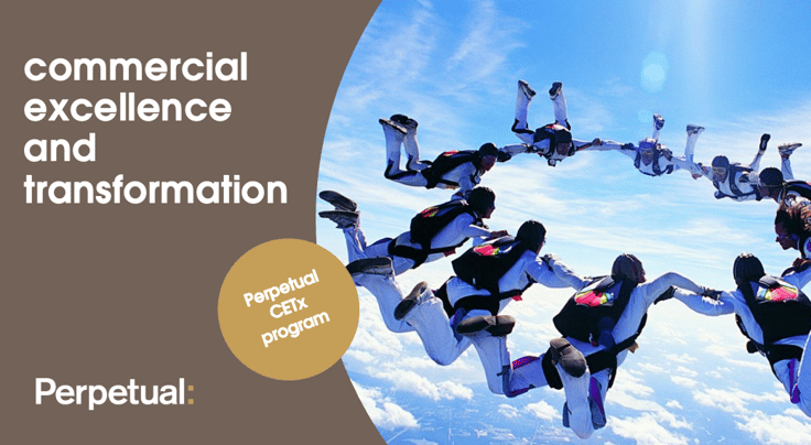 Commercial excellence and transformation